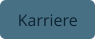 Karriere