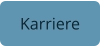 Karriere